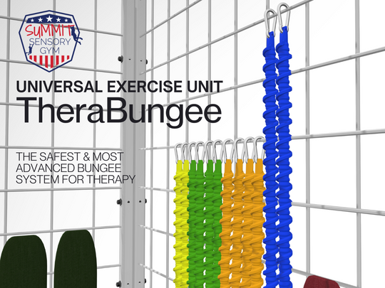 Summit Flex: TheraBungee Kit