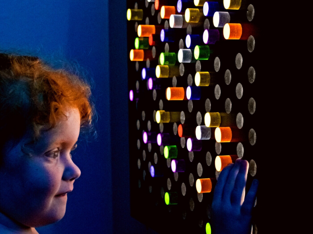 Interactive Rod Wall Panel